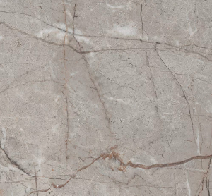 512863 RADDIX GRISS 10×1200×600